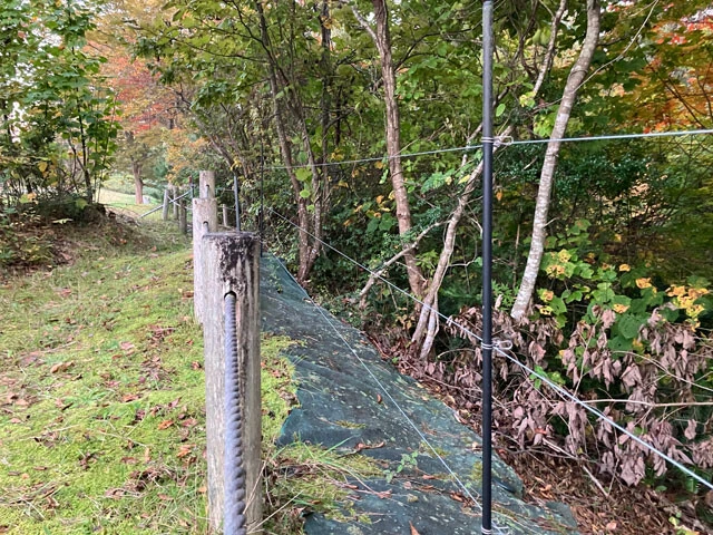 東北大の青葉山キャンパスには電気柵が設置されているが、クマは隙間をすり抜けたり土を掘って侵入する