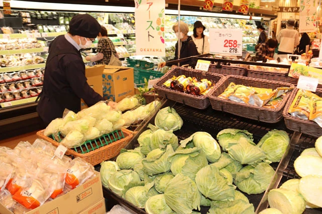 例年よりも高価になった葉物野菜が並ぶ岡山県内のスーパー（写真／共同通信社）