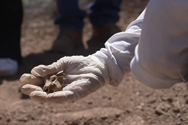 見つけた遺体のDNA鑑定によって個人の特定を図る。初日はセシリアさんの息子の脊椎の一部が見つかった