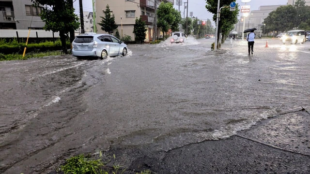 メガソーラー建設のための造成により、土壌の保水性が損なわれれば、水害のリスクも高まるという
