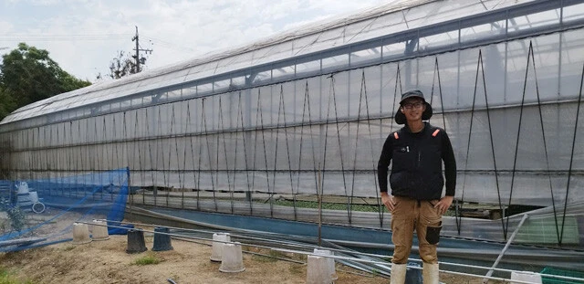 キャベツ栽培において、夏は苗を畑に植えつける時期だ。近年は連日の猛暑で不作が続く（写真提供／中川一郎）