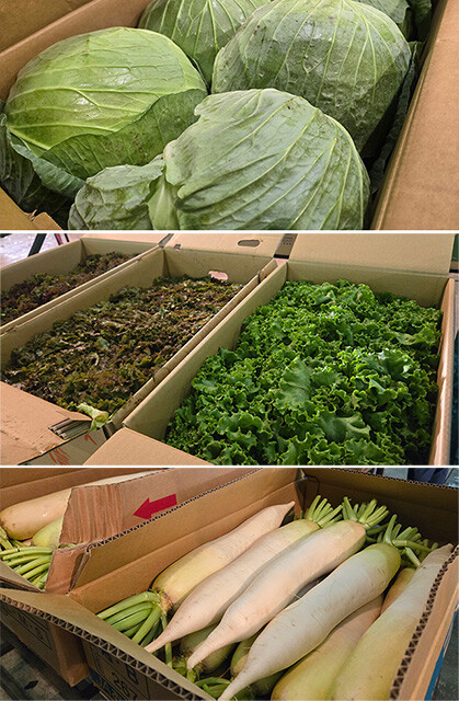 水害列島・ニッポンで未曽有の"秋の野菜クライシス"が発生！