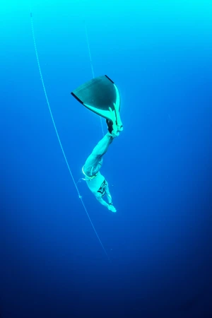 イルカのようにしなやかな泳ぎで、海深くへと潜っていく(撮影/石田皓平)