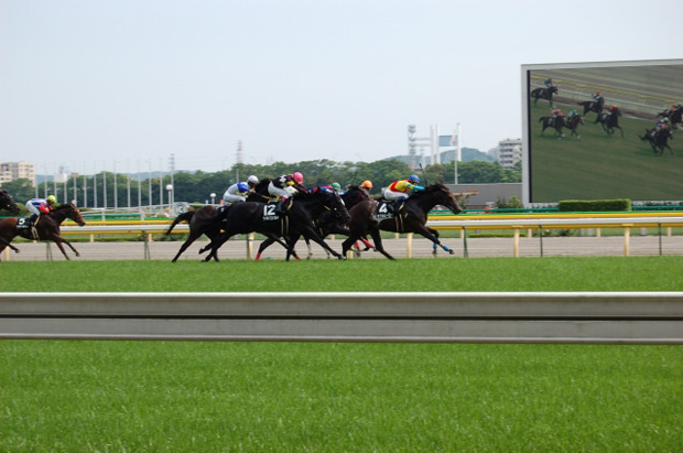 1月8日に2018年初勝利を挙げるなど、好スタートを切った藤田。このまま勝利を重ね、GⅠレースでも騎乗を依頼されるほどの騎手になれるか。 ※写真はイメージです。