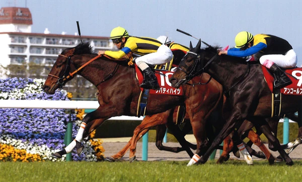 北村友一が乗ると２戦２勝と負けなしのリバティハイツ。好相性の鞍上と本番へ。