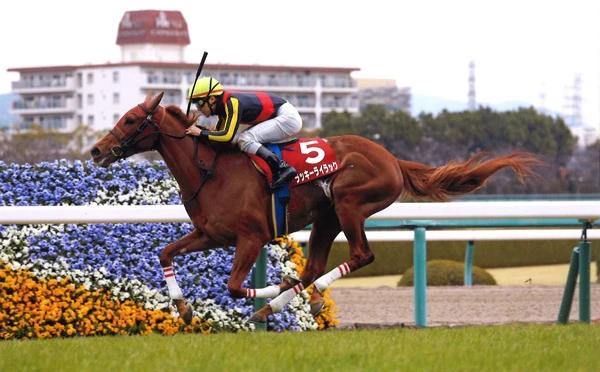 共に２歳チャンピオンで４戦４勝。そして前哨戦を危なげない競馬で完勝と、共通点の多い両馬。本番でも断然人気が予想されるが、死角はあるのか！？