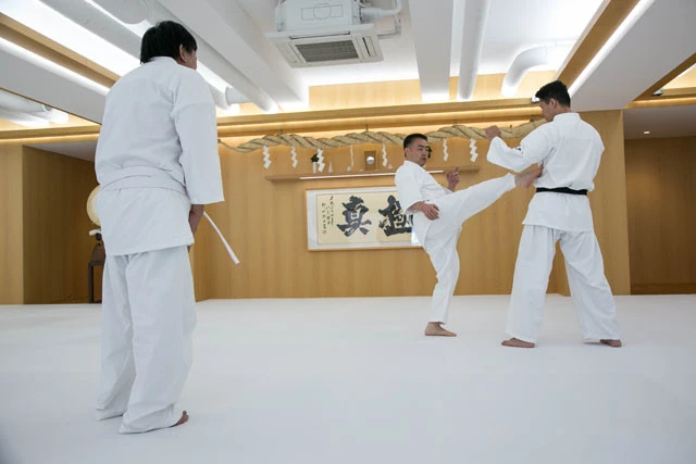 赤石師範代を相手に見せてくれる館長の突きや蹴り。すっと身体が動いて、パッと相手に攻撃が届き、また、すっと元の体勢へ。足を上げたまま、ドラゴン先生に動きのポイントを解説するほど、余裕があるのはさすが