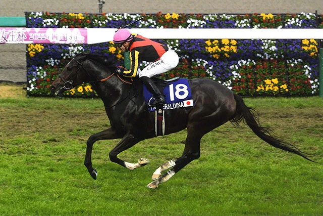 現時点で、じゃい名人が本命に推すジェラルディーナ。お母さんのジェンティルドンナは2014年に有馬記念を制覇!