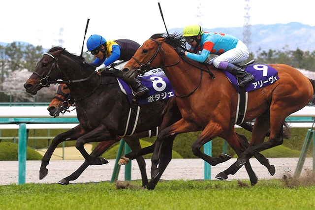 高木名人が本命に推すポタジェ。8番人気ながら大阪杯を制して、力のあるところを見せつけた。中山の芝2500mは合いそうな舞台
