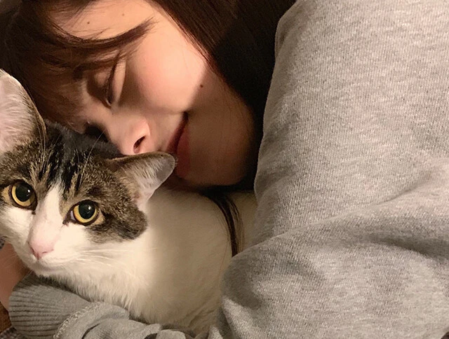 帰宅して、寝ているバレンティン（愛猫）にちょっかいを出したら「全くもう……」と少しうっとうしがられてしまいました