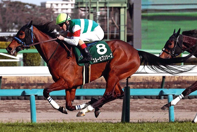 津田さんの現時点での本命馬はスルーセブンシーズ。父は有馬を制しており、今回はグランプリ通算4勝の"有馬男"が手綱を握る!