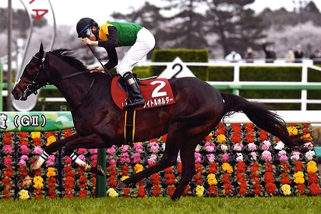 現時点で小島さんが本命に推すタイトルホルダー。1990年のオグリキャップのように、ラストランとなる有馬記念で復活Vを飾ることはできるか!?