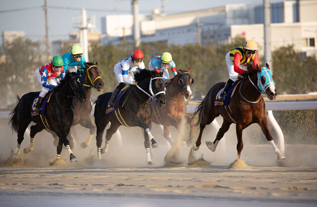 【競馬】「競馬予想AI」はどれくらい当たるのか？ 過去には968倍、2644万円の払い戻し実績も！ - 写真 - ニュース