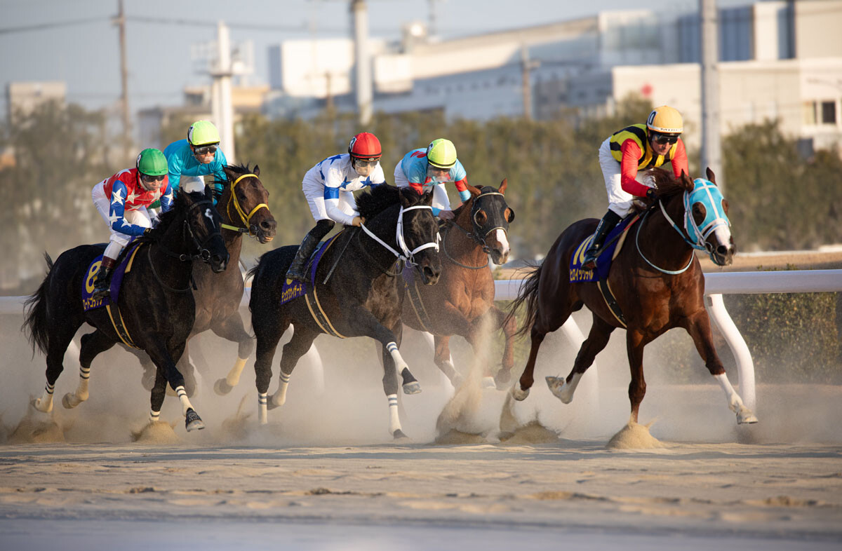 【競馬】「競馬予想AI」はどれくらい当たるのか？ 過去には968倍、2644万円の払い戻し実績も！ - スポーツ - ニュース