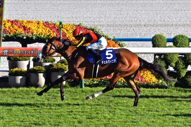 今年のオークスと秋華賞を制した牝馬2冠馬のチェルヴィニア。鞍上は信頼感抜群のルメール騎手だ　（c）JRA