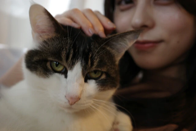 我が家の愛猫の名も、ヤクルトの偉大なる外野手から拝借しております。