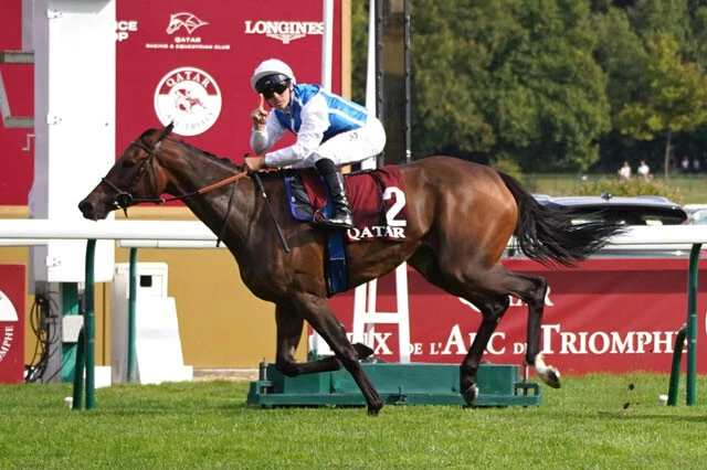 前哨戦のベルメイユ賞（フランスG1）を勝って、順調に本番へ挑むフランス馬のアヴァンチュール。海外のブックメーカーでは、1番人気に！（9月22日現在）