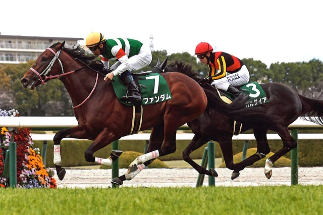 守永さんが対抗に推すファンダム（左）。目下、無傷の3連勝中で、有力馬たちとは別路線から日本ダービーの大舞台に挑む！