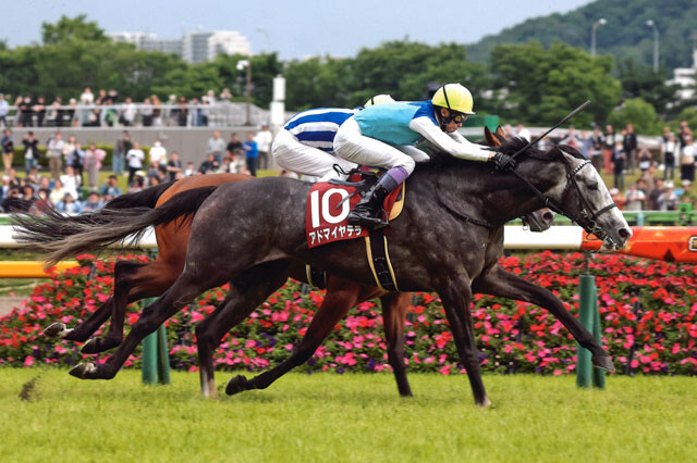 横山さんの特注馬のアドマイヤテラ。落馬で競走中止になった前走のJCの雪辱を果たすことができるか！