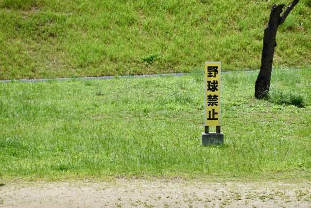 世界的な大谷フィーバーの一方、国内では安全上の理由から野球を禁止する公園やグラウンドが増えている