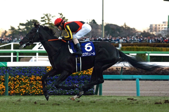 栗林さんの対抗馬のクロワデュノール。断然1番人気に推された前走の皐月賞は2着に。巻き返しに期待したい！