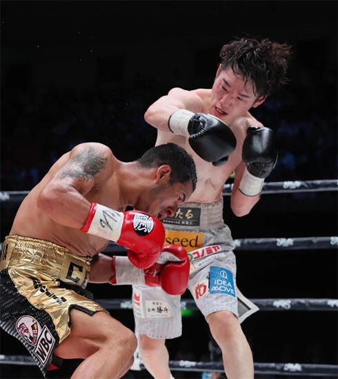 カルロス・カニサレスと戦う寺地拳四朗(写真/産経新聞社)