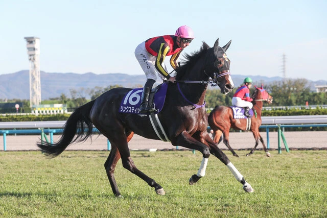 昨年のエリザベス女王杯でのリンクスティップ（結果は4着）。今年の躍進に期待だ