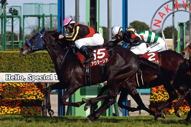 スプリングSの勝ち馬・アウダーシア。父キズナ×母父ルーラーシップという血統は、驚異的な勝ち上がり率を誇る！