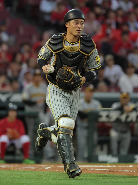 昨季、スタメンマスクをかぶって阪神をリーグ優勝に導いた坂本。侍ジャパンの正捕手候補だ