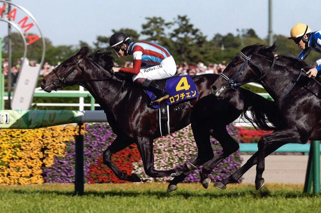 ふたりが本命に推すロブチェン。皐月賞をレコード勝ちして、万全の状態で本番に臨む。逃げてよし、差してもよしの脚質も魅力！