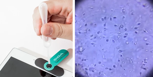 【左】カップに採集した精液をスポイトで吸い取り、ルーペレンズのプレートへ載せる。そしてスマホの動画モードを起動すれば、モニターに拡大された精液が出力される。より高画質に撮影したい場合は、スマホの背面カメラを使用しましょう!【右】動画撮影した拡大精液をスクリーンショットしたもの。ピントが合いづらい場合は、スマホのモニターをタッチして調整すること! 「においはキツいですけど、だいたい15分ぐらいで撮影できます」(マツザキ)