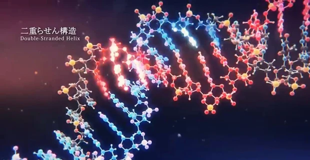 DNAやがん抑制遺伝子などの細胞内の動きを、シミュレーション結果に100パーセント忠実に再現した5分間の新作フル3DCGアニメーションもYouTubeで公開中