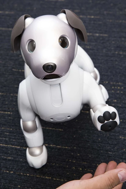 22の可動軸が多彩な動きを実現。接し方によって振る舞いが変化、そのaiboだけの“個性”を獲得する。LTEとWi-Fiを搭載しており、クラウド上にaiboの“個性”を保存し、壊れても新しい機体にデータを移すことで“転生”が可能になった。価格は19万8000円。使用には別途「aiboベーシックプラン」への加入が必要(3年契約)で、1ヵ月2980円、一括支払いは9万円(すべて税抜き)