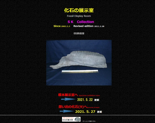 岸本さんのホームページ『化石の展示室』。採掘結果だけでなく、そのときの様子も詳細に記されている。30、40代の化石研究者のなかにはこのページを見ていた人も多いとか