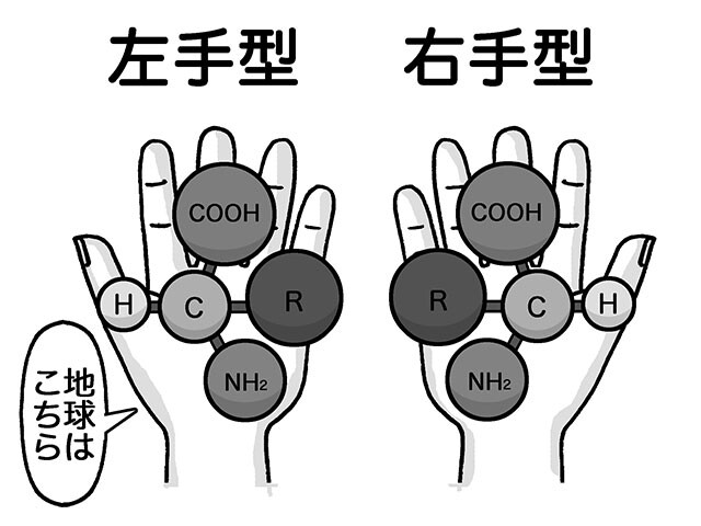 アミノ酸は、分子の構造が右手型、左手型のものがある。これらに機能的な差はほぼないが、なぜか地球上のアミノ酸は左手型がほとんど。この型が生命の由来を突き止めるカギを握っている