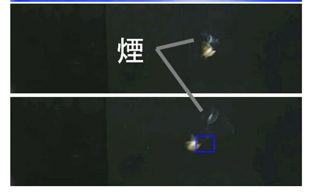 レーザー光を急所に受けた害虫は、撃たれた場所から一瞬、わずかに煙を出して、落ちていく