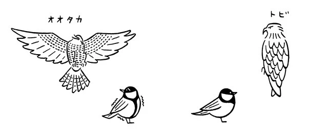 ヒトとシジュウカラでは世界の見え方はまったく違うはず。たとえば、ヒトにとってはオオタカとトビの違いはわかりにくいが、シジュウカラにとってその違いは死活問題だ。こうした生存に関する重要な情報をカテゴリー化することが言語の起源かもしれない。