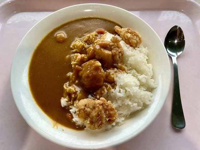 学食のカレー。なぜか「唐揚げカレー」しかなかった
