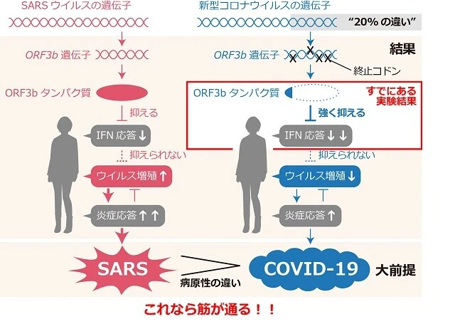 ニューヨークのグループの結果をふまえた「結果」と「大前提」
