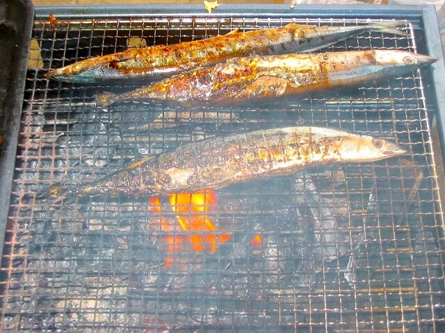 広瀬川沿いでの芋煮会での一景。スーパーから買ってきた秋刀魚を焼いて食べた。芋煮の写真も探したのだが、ここでお見せできそうなものはなかった...。