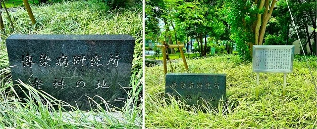 (左)「伝染病研究所 発祥の地」と記された石碑(石碑の「伝」の字は、旧字体の「傳」で記されている)。(右)石碑の遠景。右の解説の看板には、「北里柴三郎は、福沢諭吉始め民間の援助を受け明治二十五年十一月三十日この地に開設された大日本私立衛生会附属伝染病研究所において、細菌学の研究を開始し伝染病の撲滅に多大の貢献をした。以来伝染病研究所は幾度かの変遷を経て現在に至っている。創立百年に当たり、ゆかりの地に碑を建て、先人の偉業を顕彰するものである。 平成四年十一月吉日 東京大学医科学研究所 社団法人 北里研究所」と記されている。ちなみにこれは、東京メトロ御成門駅からすぐのところにあります