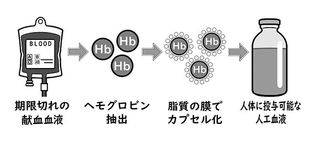 保存期限の切れた献血血液からヘモグロビンのみを抽出。新たな膜で覆ったものが人工血液の成り立ちだ