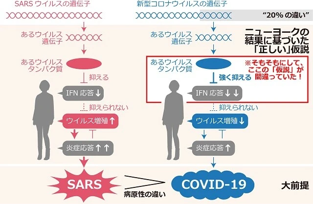 ニューヨークのグループの結果をふまえた「正しい」仮説と「大前提」
