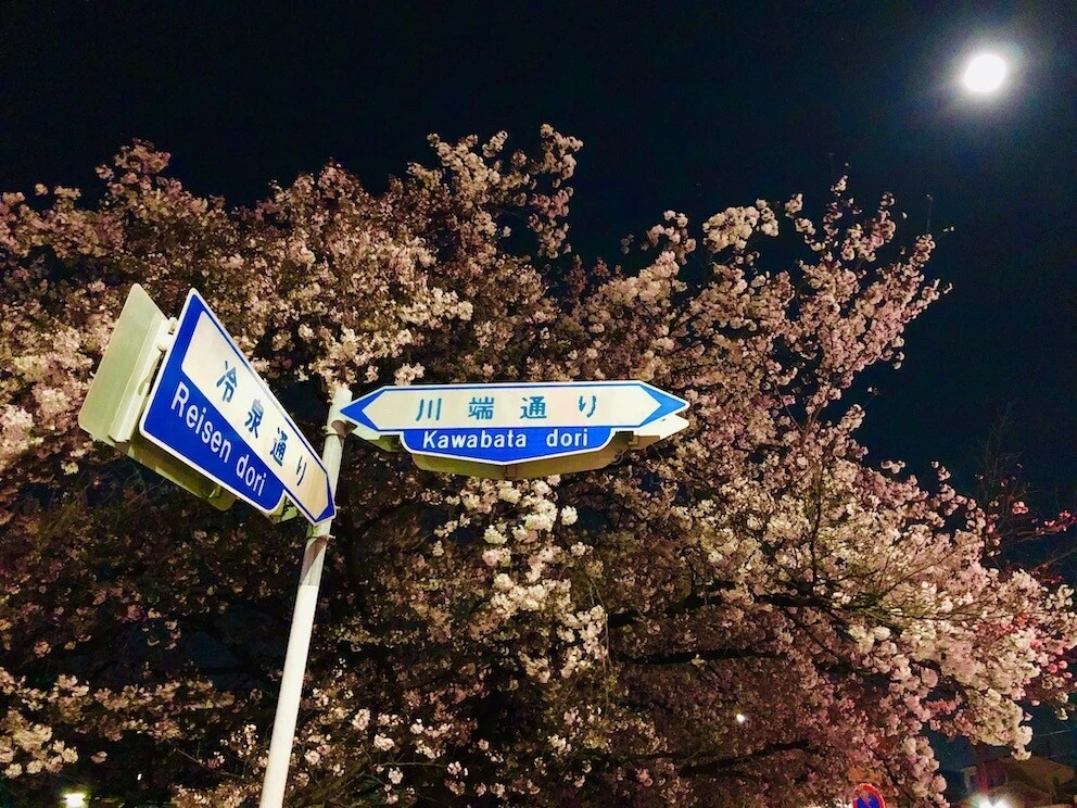 京都疎開：新型コロナ研究のはじまり（3）【「新型コロナウイルス学者」の平凡な日常】