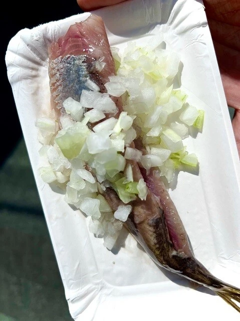 オランダ名物ハーリング