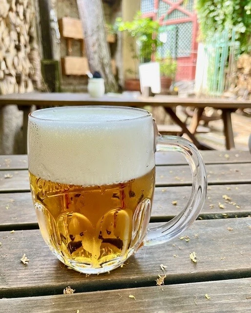 ピルスナー。どの店でもだいたいこんなジョッキで出てきた