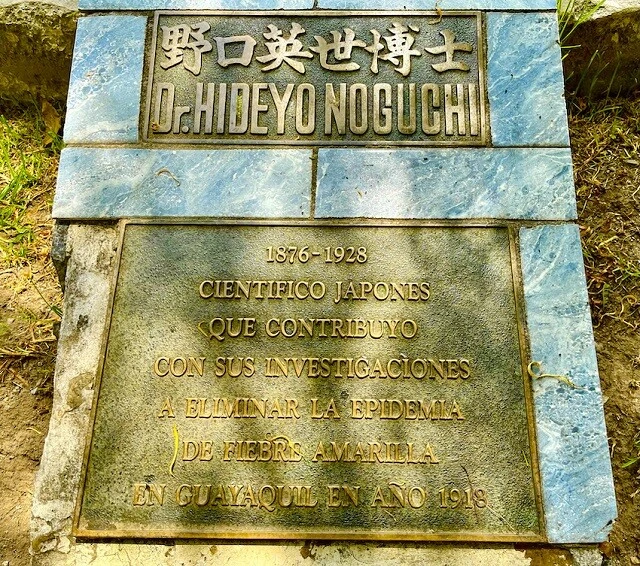 野口英世のエクアドルでの功績が記されていた