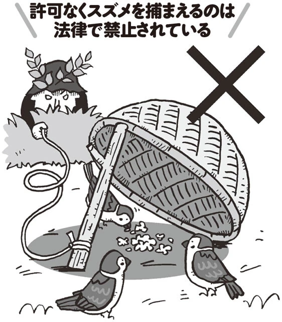 なぜ今、スズメは激減しているのか？