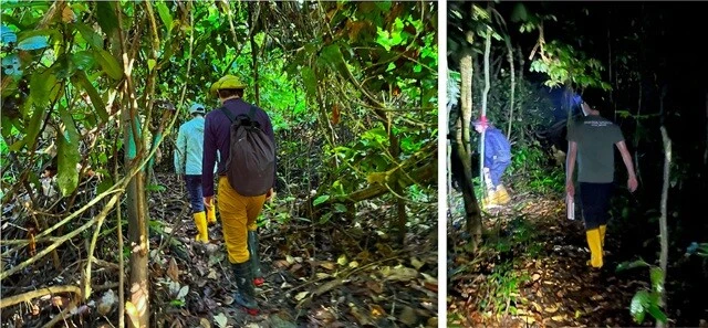 ジャングルウォーク。（左）日中のジャングルウォーク。奥がトミー、手前が大学院生のF。熱帯の樹木が生い茂っているので、昼間でも日陰が多く、高い湿度が保たれている。（右）夜のジャングルウォーク。ジャングルウォークのプロフェッショナルであるカーホンは、Tシャツ姿の軽装でも大丈夫。