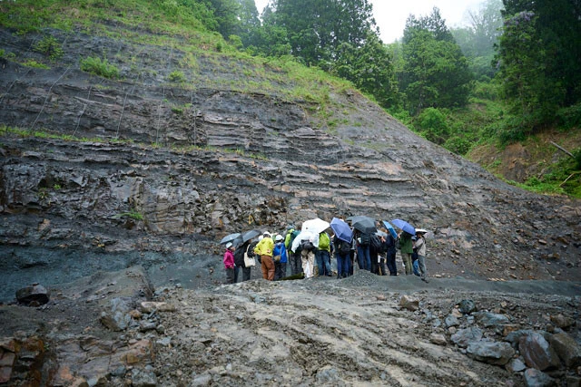 フクイサウルス、フクイベナートルなど数多くの化石が発掘されている露頭